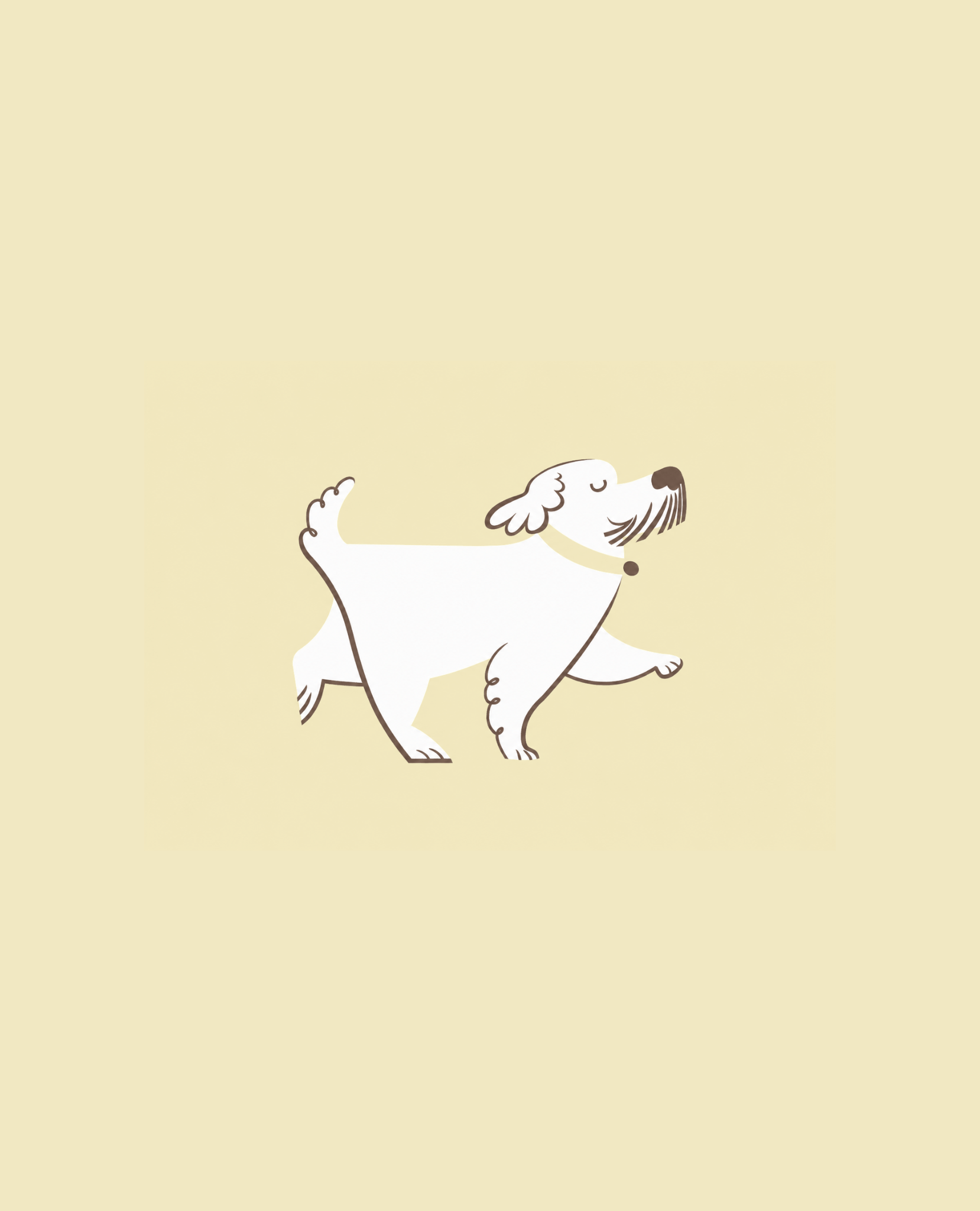 Boldo - Veterinari