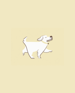 Logo Boldo
